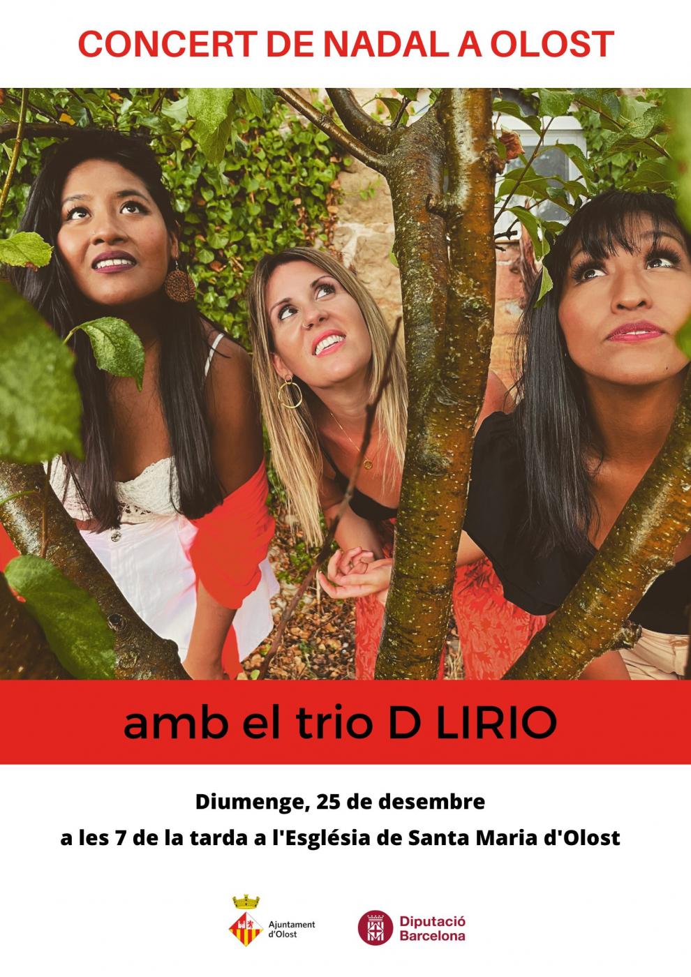Concert de Nadal amb D Lirio